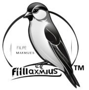 india.filliaxmius.com